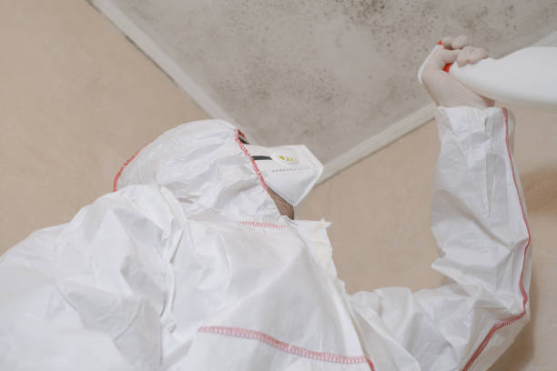 Best Emergency Mold Removal  in Vineland, NJ