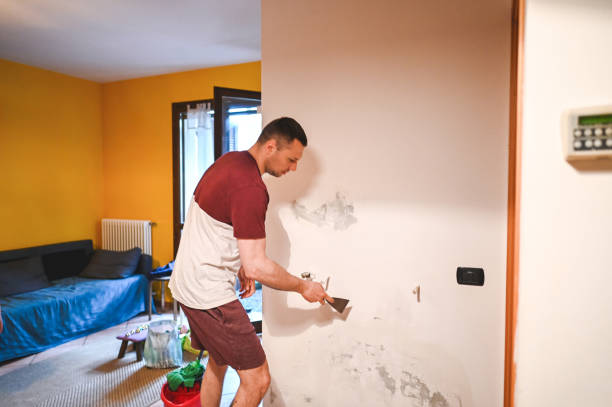 Best Local Mold Removal Service  in Vineland, NJ
